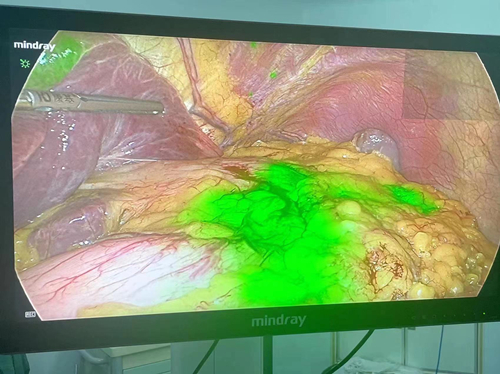 1665368235272434.jpg 微信图片_202210100954201_副本.jpg