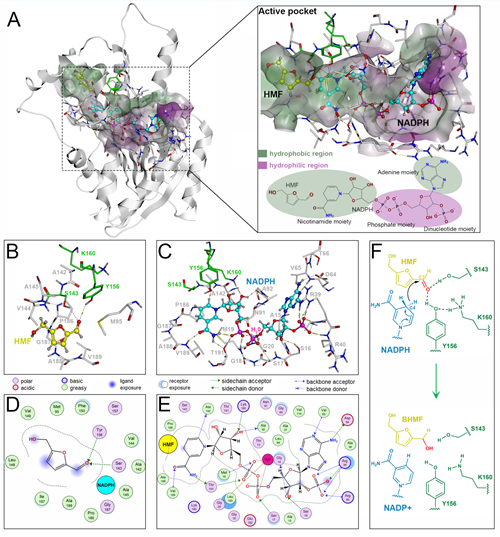 1668998107380056.png 图片2_副本.png