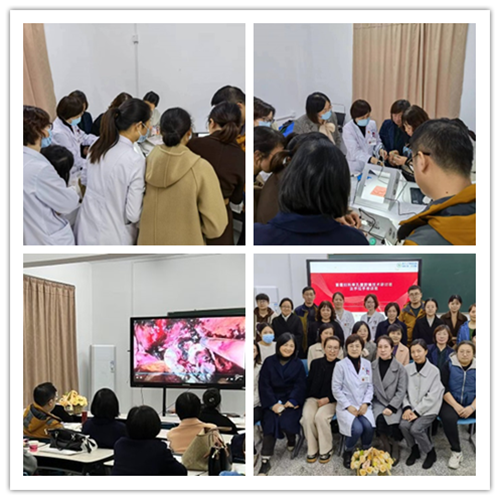 1669082326127567.png 手拉手.png